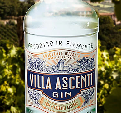 GIN VILLA ASCENTI - 700ML